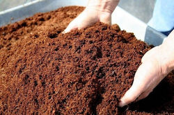Substrat de Plantare 3l Substrat de Plantare 3l