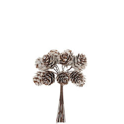 Beauty Home Con de Brad Lungime 12cm