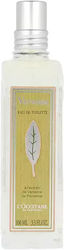 L'Occitane Provence EDT 100ml