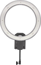 Nanlite 6949987423034 Nanlite 6949987423034