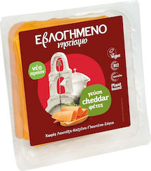 Plant-Based Cheddar Flavored Slices EVLOGIMENO Fasting (10 Slices) (200 g) Plant-Based Cheddar Flavored Slices EVLOGIMENO Fasting (10 Slices) (200 g)