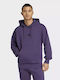 Essentials Φούτερ με Κουκούλα Purple/black