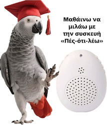 Συσκεύη Εκμάθησης Ομιλίας Παπαγάλους Πολύ Εύκολη Στην Χρήση Συσκεύη Εκμάθησης Ομιλίας Παπαγάλους Πολύ Εύκολη Στην Χρήση