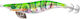 Squid Jig Cinnetic Crafty Tiger 3.0 #5 Rainbow Green
