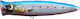 Momeli Artificiale Fishus Lurenzo Ubuntu Popper 13.5cm Bs Hot Belly Sardine