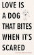 Love Is A Dog That Bites When It’s Scared Courtney Marie Andrews Andrews Mcmeel Publishing