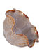 Fylliana Fl30009 Dekorative Schüssel Keramik Beige 20x10cm 1Stück