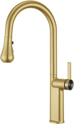 Naron Kitchen Faucet Tall Counter with Shower Gold Naron Kitchen Faucet Tall Counter with Shower Gold