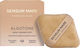 Sensum Mare Powder