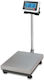 Electronic Platform Scale with Weighing Capacity of 300kg and Division 150gr