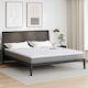 vidaXL Mattress Topper King Size Latex 200x200x5.5cm
