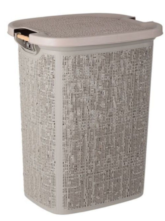 Plastic Laundry Basket 46x37x57.5cm Brown