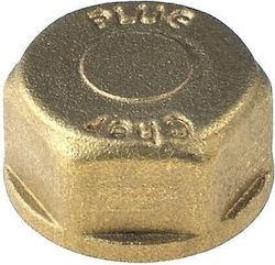 Female Cap Brass Viospiral C1310060700 Female Cap Brass Viospiral C1310060700
