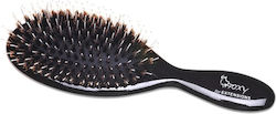 Foxy Haarbürste Foxy Haarbürste