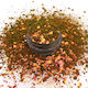 Chunky Glitter 50gr Χρυσό
