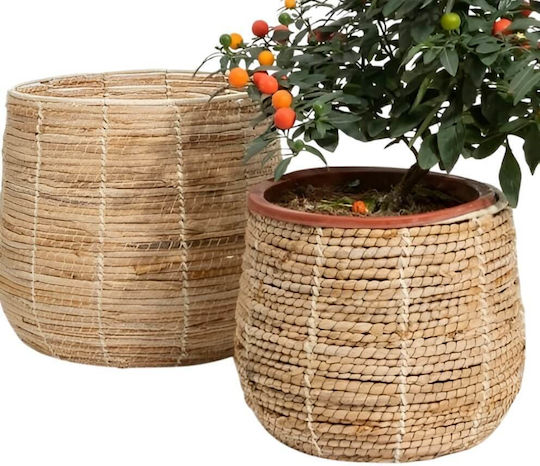 Polihome Morsal Διακοσμητικό Καλάθι Ψάθινο 30x30x100εκ.