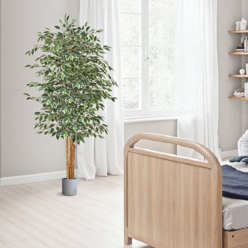 Ficus Lyrata În Ghiveci Vevor