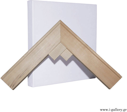 Stapled Thick Canvas Frames with Wedges 70x120 Cm