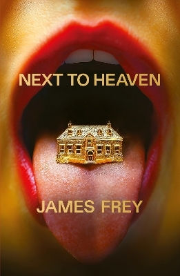 Next To Heaven: The Provocative New Novel From Bestselling Author Of A Million Little Pieces James Frey Swift Press