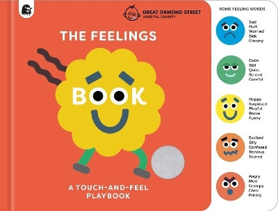 The Feelings Book: Touch-and-feel Emotions: Created In Partnership With The Play Team At Great Ormond Street Hospital Happy Yak Frances Lincoln Children's Books