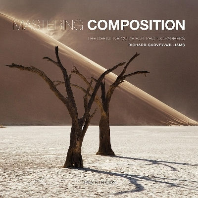 Mastering Composition: The Definitive Guide For Photographers Richard Garvey-williams Ammonite Press