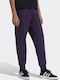 Z.n.e. Football Sweatpants Purple