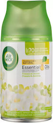 Airwick Nachfüllpackung für Sprühgerät Jasmin 250ml