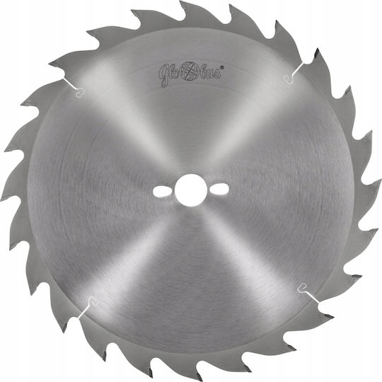Globus Wood Saw Hm 315x30x28t Rip Cutting