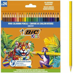 Bic Buntstifte Set 24 Farben Bic Buntstifte Set 24 Farben