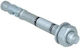 Bolt Anchor 8x100/35 Wtb1