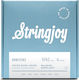 Stringjoy Set Corzi Pentru Chitară Electrică Din Oțel 9 - 42