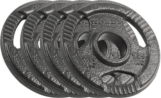 Rebel Scheibenset Olympischen Typs Metall 4 x 1.25kg Φ50mm mit Griffen