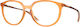 Rame Ochelari Oakley Ox8150 Bmng 815005