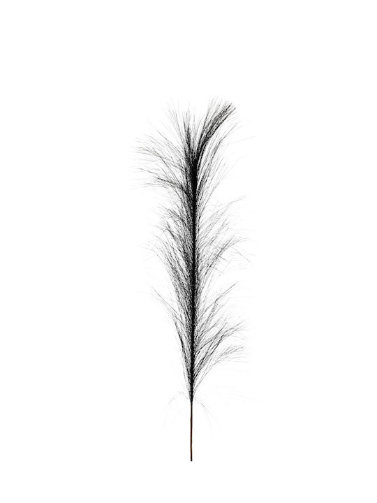 Künstliche Pampasgras Blumen Schwarz 74cm 1 Zwe...