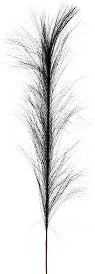 Künstliche Pampasgras Blumen Schwarz 74cm 1 Zweigstelle