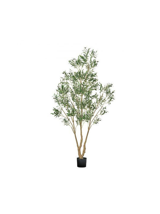 pflanztöpfe hanf GREEN MUNDO Pflanztopf TOPFI – nachhaltig & kompostierbar – Green Mundo main image 0