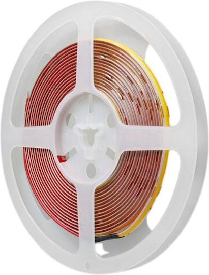 Modee Lighting LED Лента 24V Студено бяло Светлина 5м