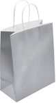 Metron Papier Tasche für Geschenke Silber 22x11...