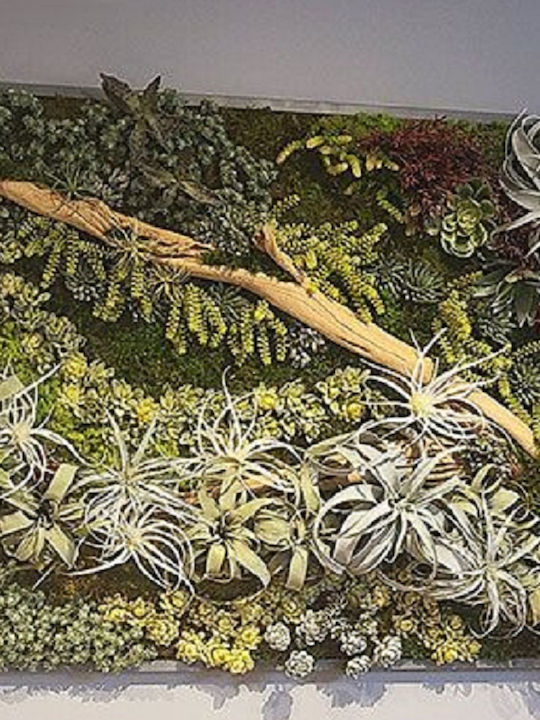 Artificial Vertical Garden Succulents Moss Eternal Moss 1.50 x 2m