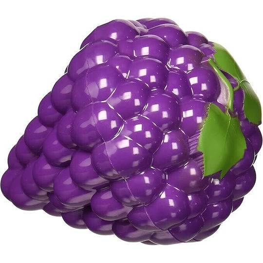Θήκη Συντήρησης 10x10x13.5cm