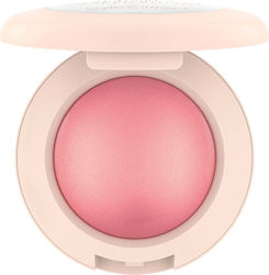 Catrice Cosmetics Blush 040 Midnight Berry 5.6gr Catrice Cosmetics Blush 040 Midnight Berry 5.6gr