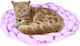 Cat Bed 40x40 Cm Fluffy Woven Wool Anti-stress Pink