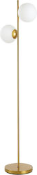 HomCom Stehlampe H165cm. Gold HomCom Stehlampe H165cm. Gold