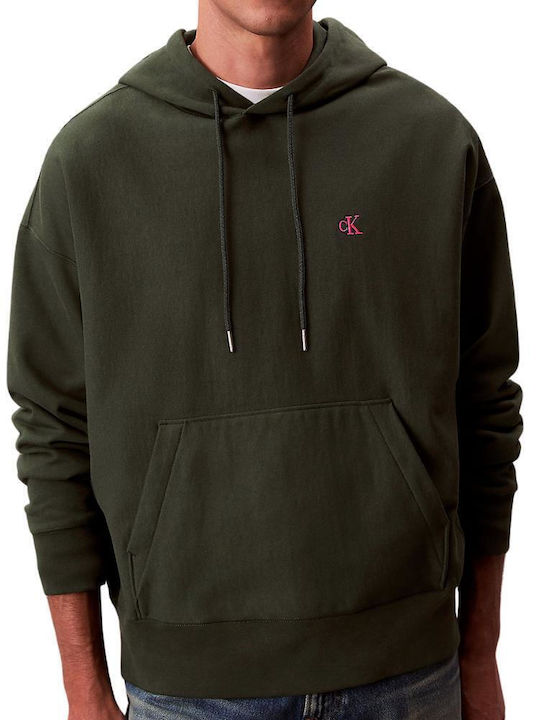 Calvin Klein Hoodie with Hood Beluga