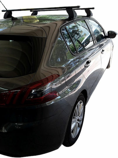 K39 für Peugeot 308 2013-2021 (mit Dachträgerfüßen)