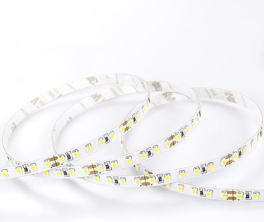 Eurolamp LED Strip 48V Warm White Light