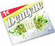 Dentyne 14Stück 16.8gr
