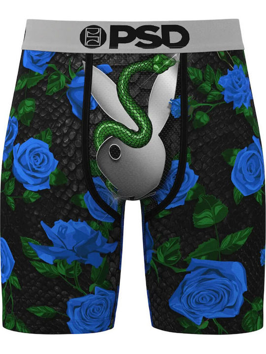 PSD PSD