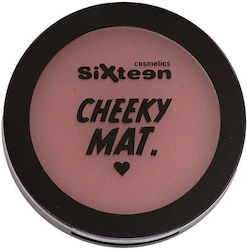 Sixteen Cosmetics Blush #102