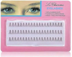 La Charme Tufts La Charme Tufts
